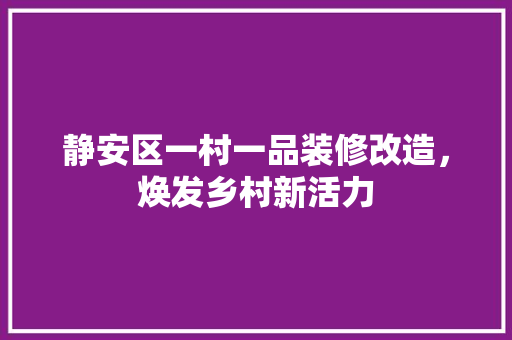 静安区一村一品装修改造，焕发乡村新活力