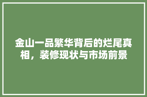 金山一品繁华背后的烂尾真相，装修现状与市场前景