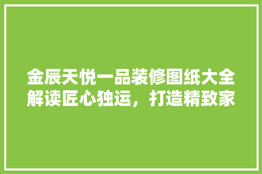 金辰天悦一品装修图纸大全解读匠心独运，打造精致家居空间