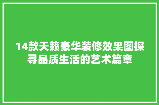 14款天籁豪华装修效果图探寻品质生活的艺术篇章