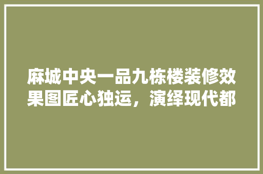 麻城中央一品九栋楼装修效果图匠心独运，演绎现代都市美学
