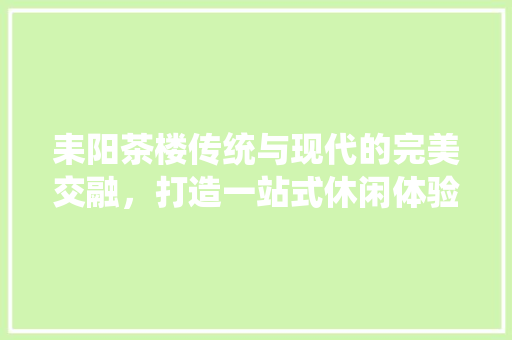 耒阳茶楼传统与现代的完美交融，打造一站式休闲体验空间