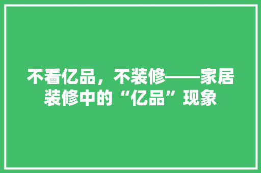 不看亿品，不装修——家居装修中的“亿品”现象