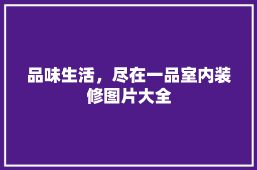 品味生活，尽在一品室内装修图片大全