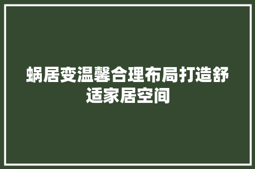 蜗居变温馨合理布局打造舒适家居空间