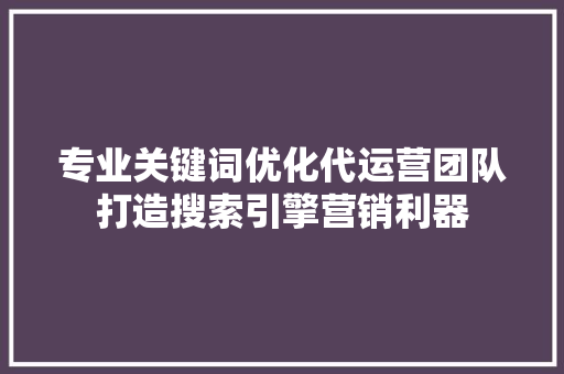 专业关键词优化代运营团队打造搜索引擎营销利器