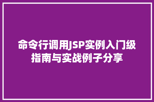 命令行调用JSP实例入门级指南与实战例子分享