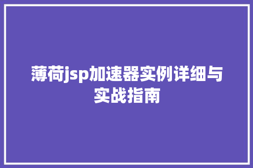 薄荷jsp加速器实例详细与实战指南