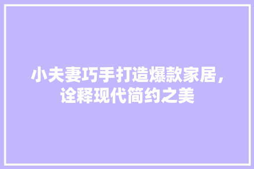 小夫妻巧手打造爆款家居，诠释现代简约之美