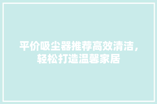 平价吸尘器推荐高效清洁,轻松打造温馨家居