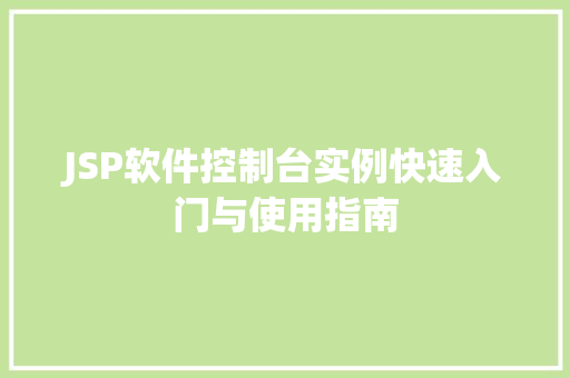 JSP软件控制台实例快速入门与使用指南