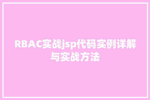 RBAC实战jsp代码实例详解与实战方法