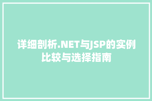详细剖析.NET与JSP的实例比较与选择指南