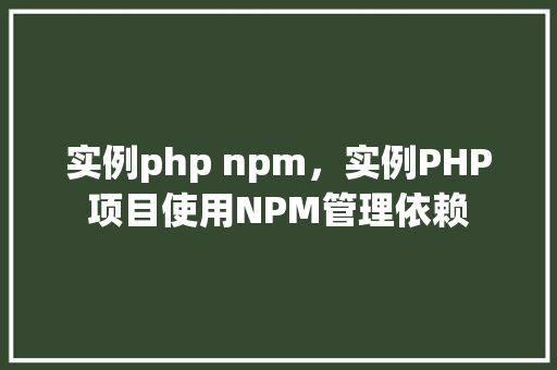 实例php npm，实例PHP项目使用NPM管理依赖