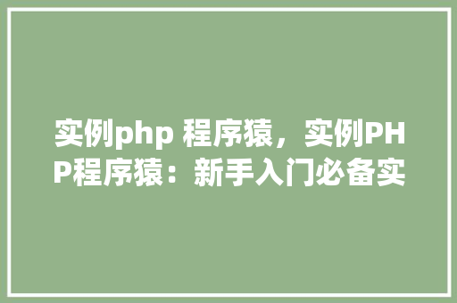 实例php 程序猿，实例PHP程序猿：新手入门必备实战例子