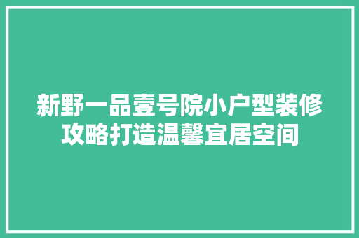 新野一品壹号院小户型装修攻略打造温馨宜居空间