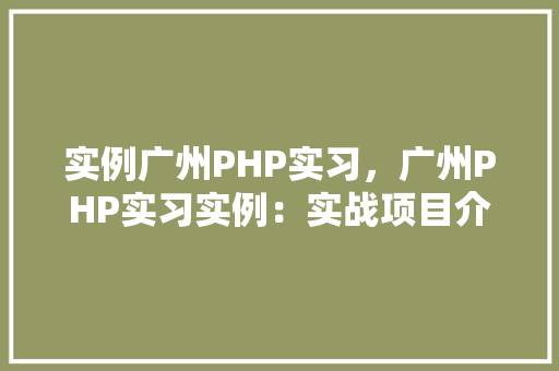 实例广州PHP实习，广州PHP实习实例：实战项目介绍