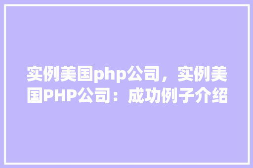 实例美国php公司，实例美国PHP公司：成功例子介绍