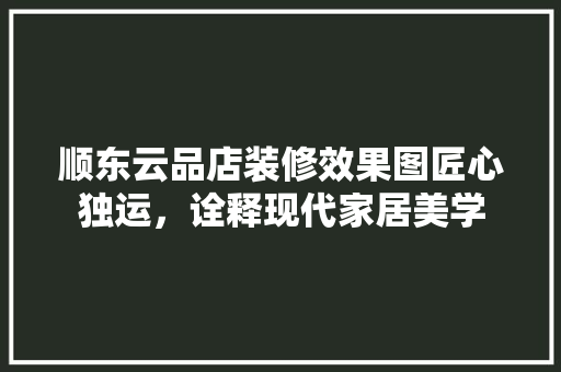 顺东云品店装修效果图匠心独运，诠释现代家居美学