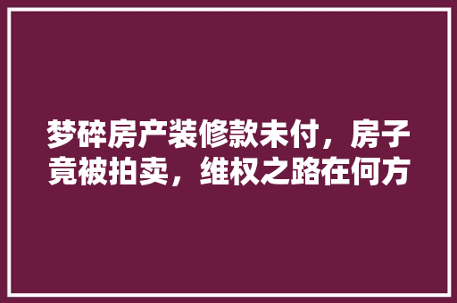 梦碎房产装修款未付，房子竟被拍卖，维权之路在何方