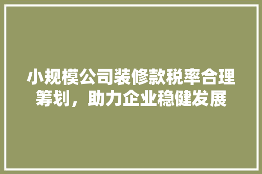 小规模公司装修款税率合理筹划，助力企业稳健发展