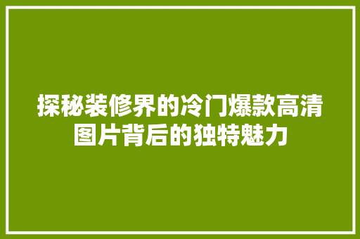 探秘装修界的冷门爆款高清图片背后的独特魅力
