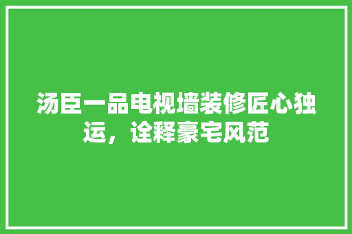 汤臣一品电视墙装修匠心独运，诠释豪宅风范