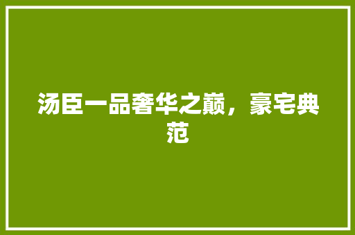 汤臣一品奢华之巅，豪宅典范