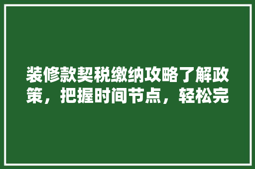 装修款契税缴纳攻略了解政策，把握时间节点，轻松完成税务手续