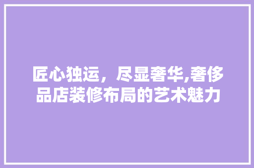 匠心独运，尽显奢华,奢侈品店装修布局的艺术魅力