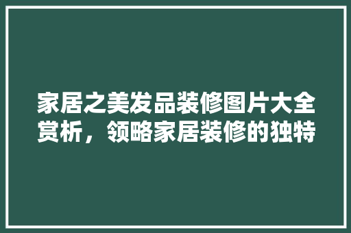 家居之美发品装修图片大全赏析，领略家居装修的独特魅力