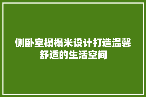 侧卧室榻榻米设计打造温馨舒适的生活空间