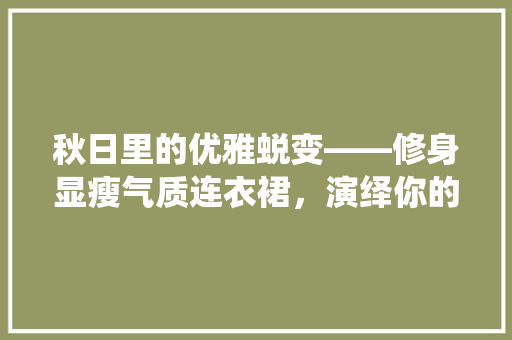 秋日里的优雅蜕变——修身显瘦气质连衣裙，演绎你的独特韵味