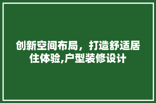 创新空间布局，打造舒适居住体验,户型装修设计