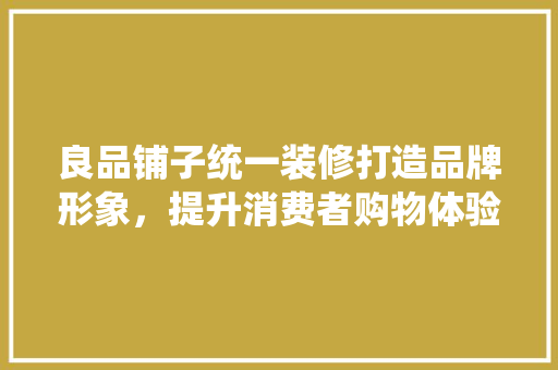 良品铺子统一装修打造品牌形象，提升消费者购物体验