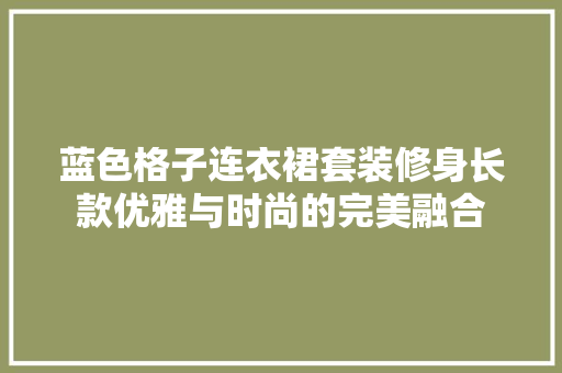 蓝色格子连衣裙套装修身长款优雅与时尚的完美融合
