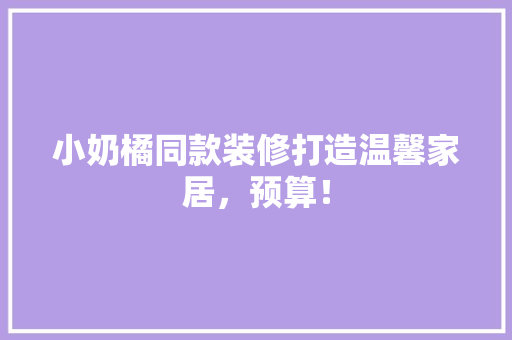 小奶橘同款装修打造温馨家居，预算！