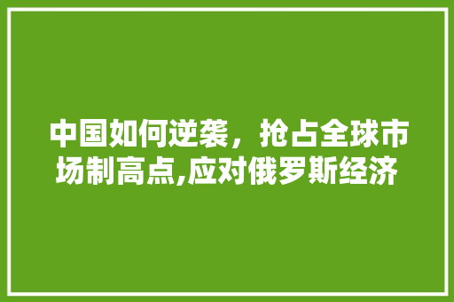 中国如何逆袭，抢占全球市场制高点,应对俄罗斯经济挑战的步骤分析