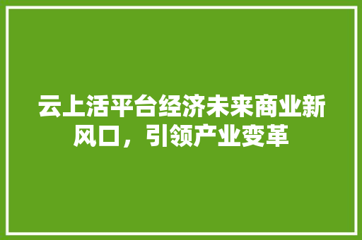 云上活平台经济未来商业新风口，引领产业变革