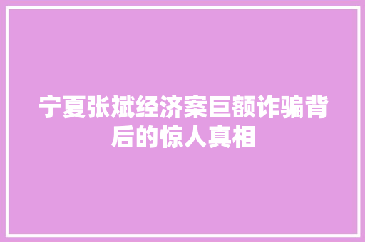 宁夏张斌经济案巨额诈骗背后的惊人真相