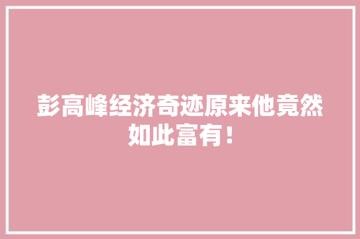 彭高峰经济奇迹原来他竟然如此富有！
