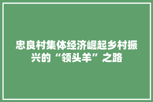 忠良村集体经济崛起乡村振兴的“领头羊”之路