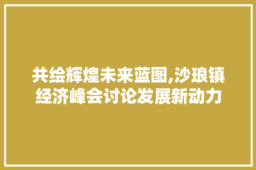 共绘辉煌未来蓝图,沙琅镇经济峰会讨论发展新动力