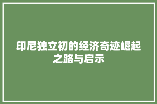 印尼独立初的经济奇迹崛起之路与启示
