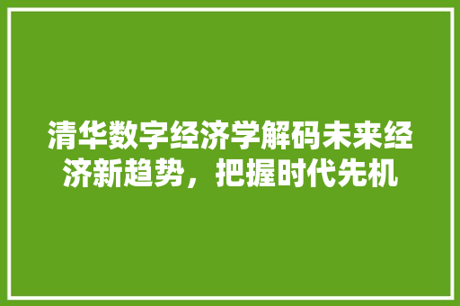 清华数字经济学解码未来经济新趋势，把握时代先机