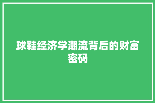 球鞋经济学潮流背后的财富密码