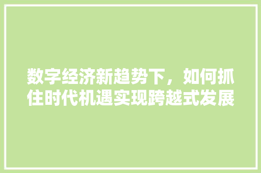 数字经济新趋势下，如何抓住时代机遇实现跨越式发展