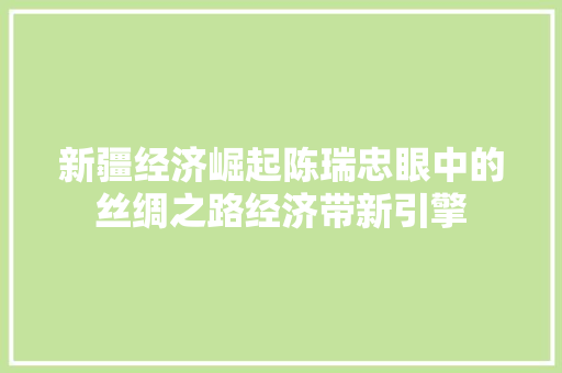 新疆经济崛起陈瑞忠眼中的丝绸之路经济带新引擎