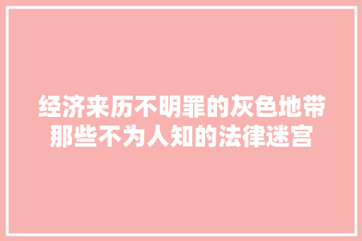 经济来历不明罪的灰色地带那些不为人知的法律迷宫
