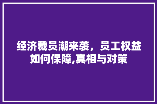 经济裁员潮来袭，员工权益如何保障,真相与对策